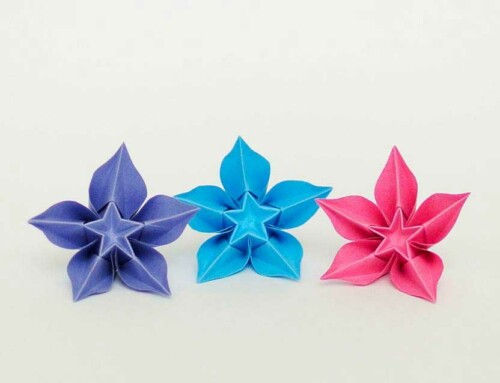 L’origami Averrhoa carambola